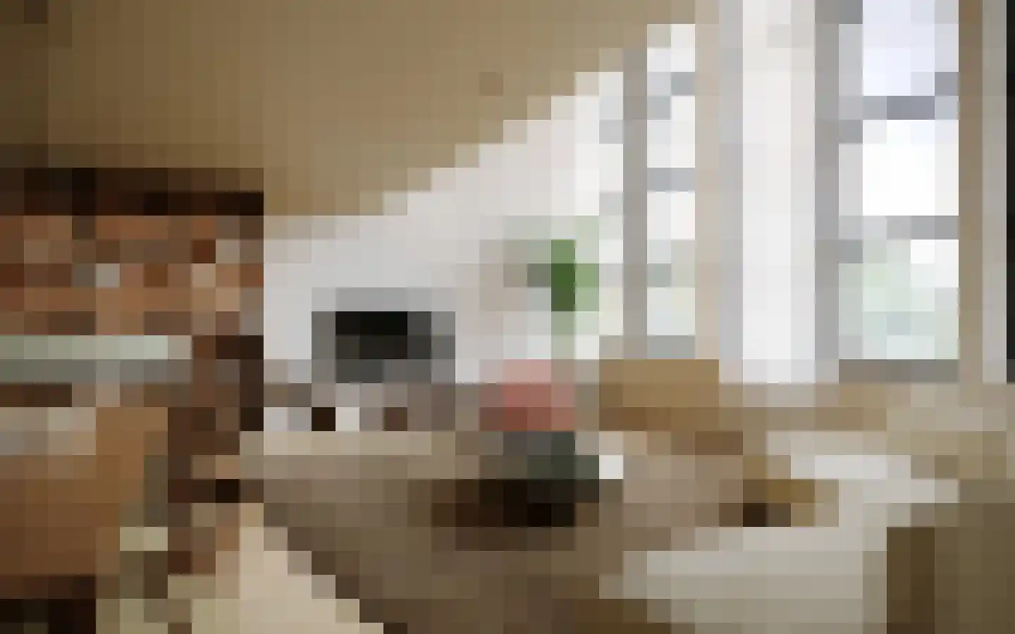 Raadhuisplein 1 B 1 Zevenaar thumbnail 5