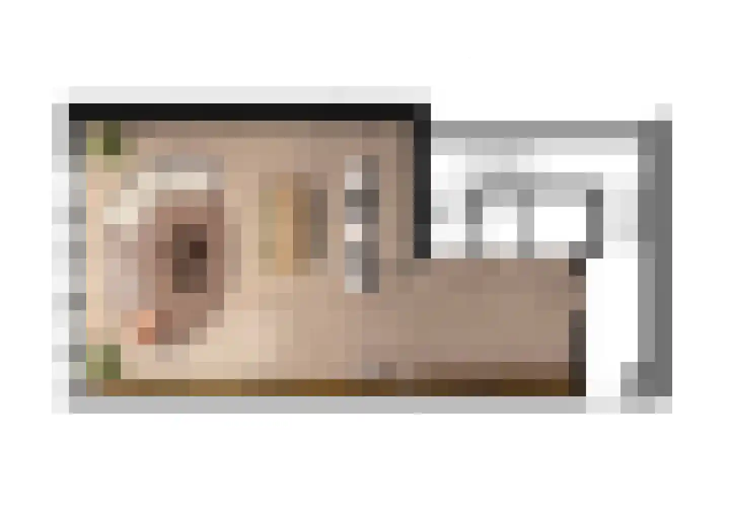 Raadhuisplein 1 B 1 Zevenaar thumbnail 8