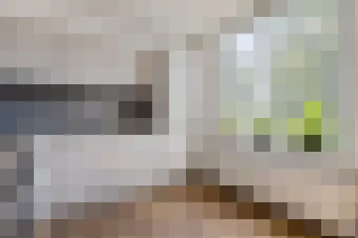 Raadhuisplein 1 e Heel thumbnail 15