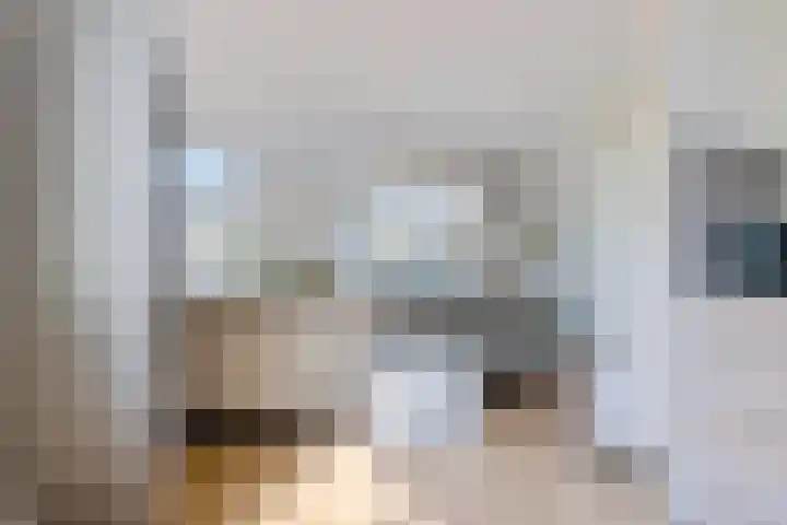 Raadhuisplein 1 e Heel thumbnail 16
