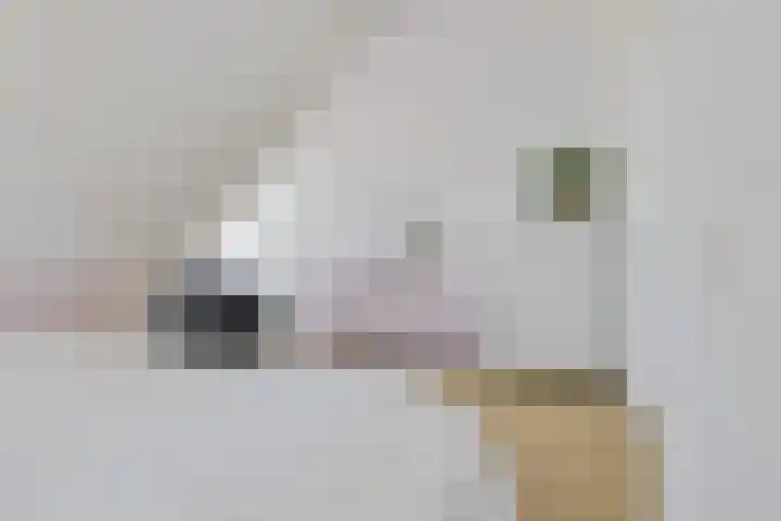 Raadhuisplein 1 e Heel thumbnail 27