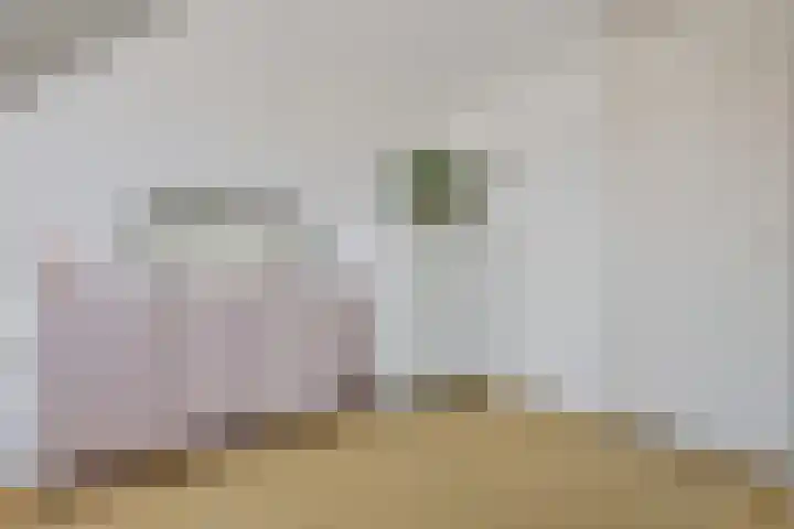 Raadhuisplein 1 e Heel thumbnail 28