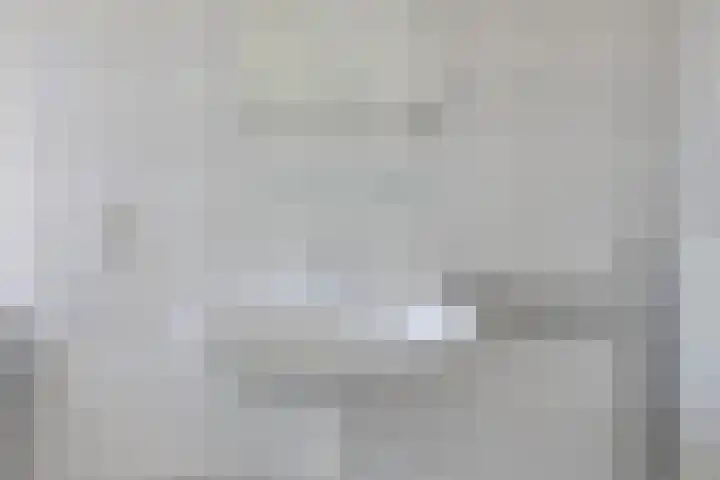 Raadhuisplein 1 e Heel thumbnail 37