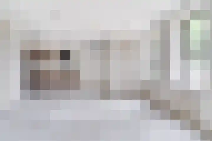 Raadhuisplein 10 Asperen thumbnail 8
