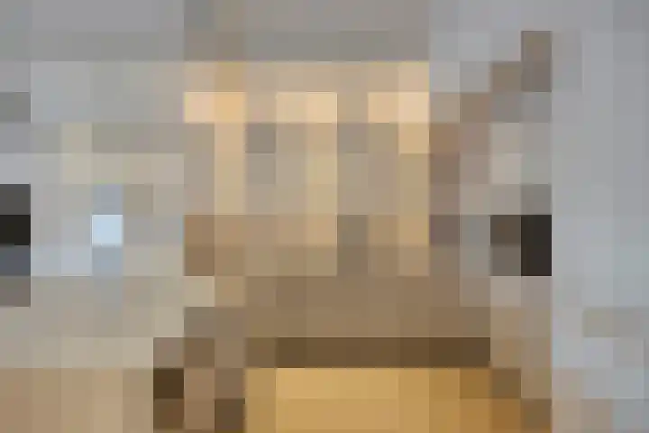 Raadhuisplein 11 Dinteloord thumbnail 10