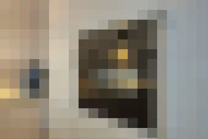 Raadhuisplein 11 Dinteloord thumbnail 11