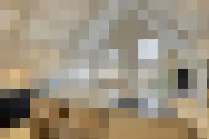 Raadhuisplein 11 Dinteloord thumbnail 12