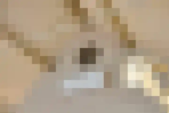 Raadhuisplein 11 Dinteloord thumbnail 14