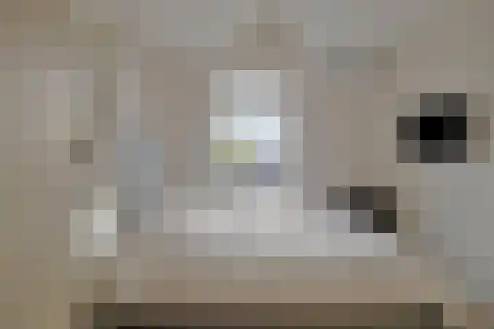 Raadhuisplein 11 Dinteloord thumbnail 17