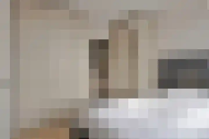 Raadhuisplein 11 Dinteloord thumbnail 18