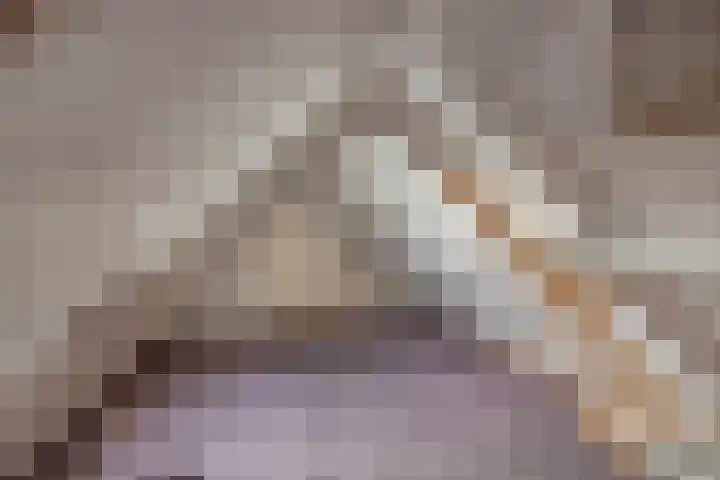 Raadhuisplein 11 Dinteloord thumbnail 21