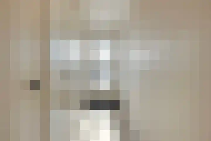 Raadhuisplein 11 Dinteloord thumbnail 22