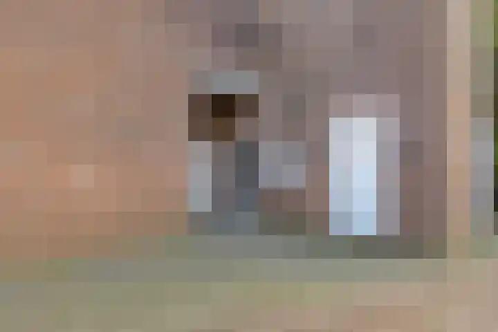Raadhuisplein 11 Dinteloord thumbnail 29