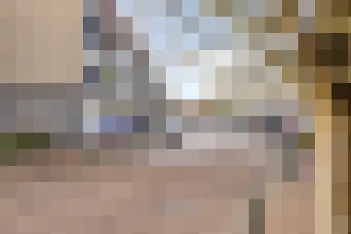 Raadhuisplein 11 Dinteloord thumbnail 32