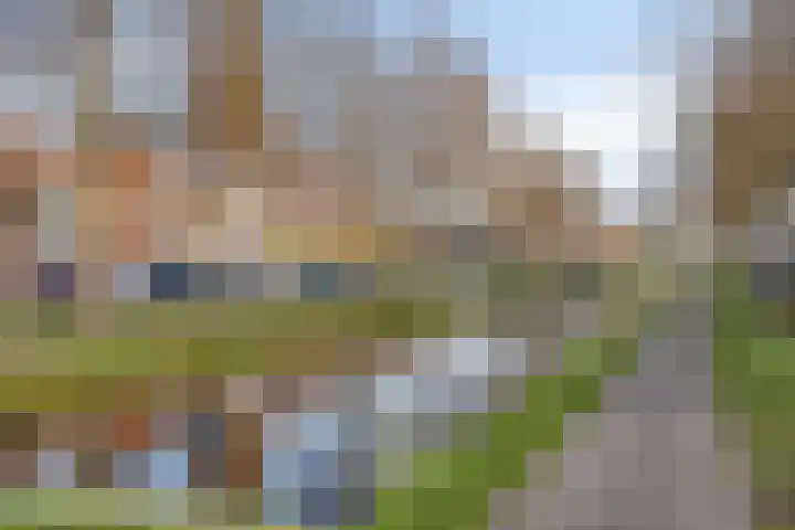 Raadhuisplein 11 Dinteloord thumbnail 33