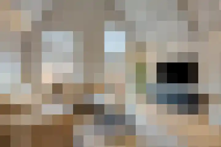 Raadhuisplein 11 Dinteloord thumbnail 4