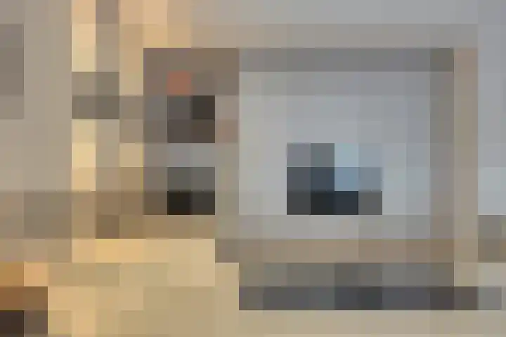 Raadhuisplein 11 Dinteloord thumbnail 9