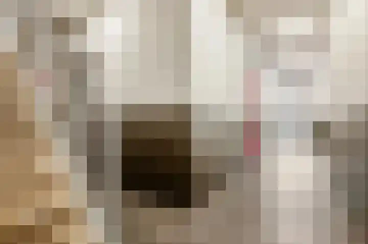 Raadhuisplein 11 E Barneveld thumbnail 9