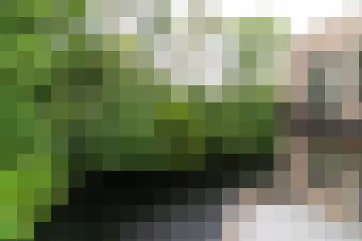 Raadhuisplein 12 Asperen thumbnail 12