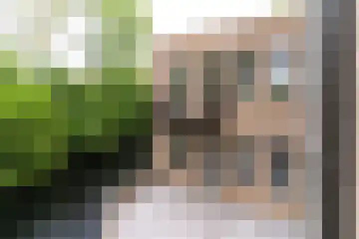 Raadhuisplein 12 Asperen thumbnail 13