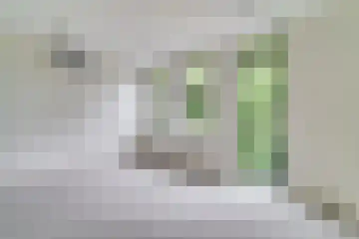 Raadhuisplein 12 Asperen thumbnail 4