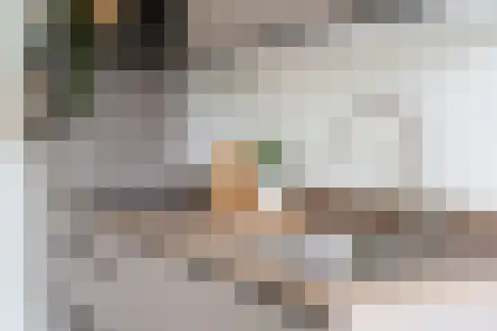Raadhuisplein 12 Asperen thumbnail 9
