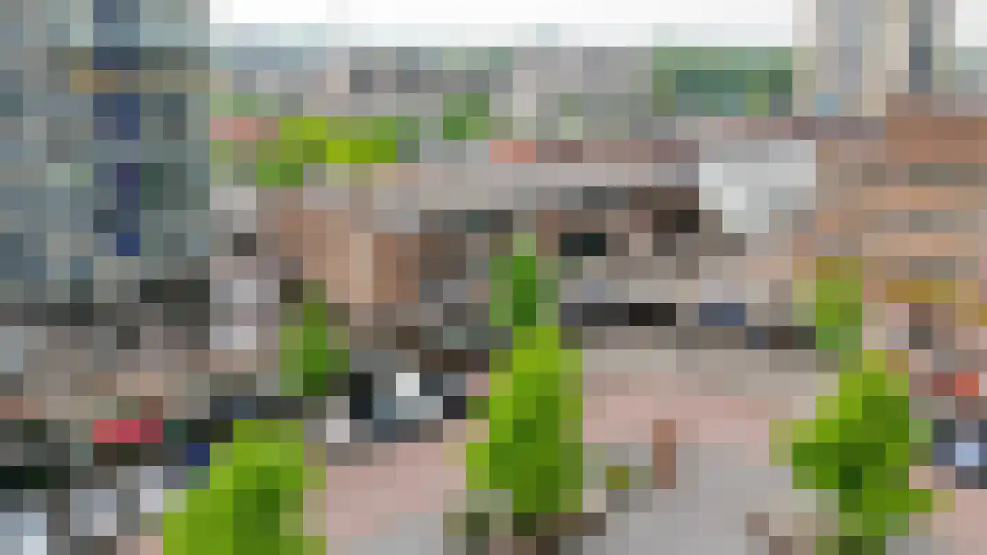 Raadhuisplein 126 Krimpen aan den IJssel thumbnail 6