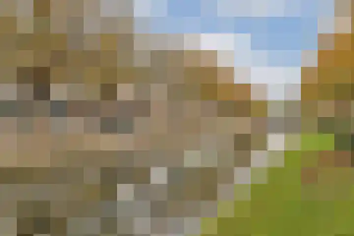 Raadhuisplein 13 Aalsmeer thumbnail 21