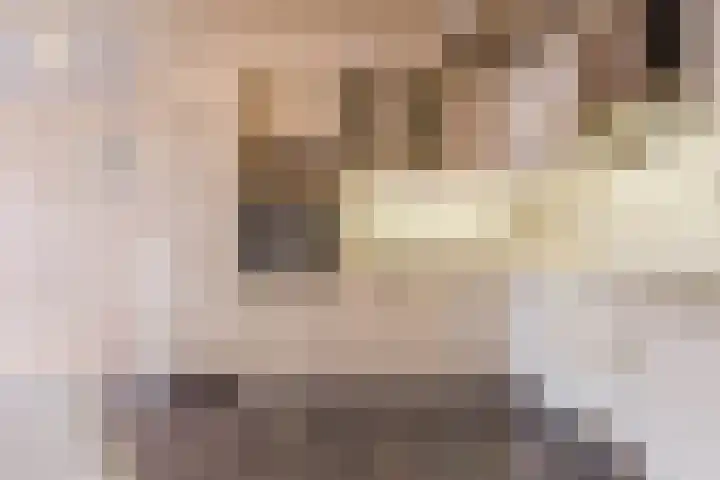 Raadhuisplein 13 Dinteloord thumbnail 14