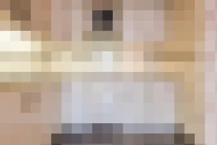 Raadhuisplein 13 Dinteloord thumbnail 15