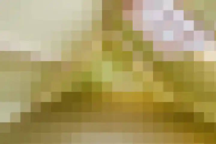 Raadhuisplein 13 Dinteloord thumbnail 21
