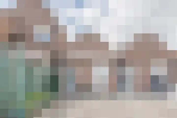 Raadhuisplein 13 Dinteloord thumbnail 22