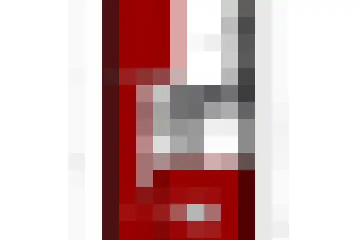 Raadhuisplein 13 Dinteloord thumbnail 32