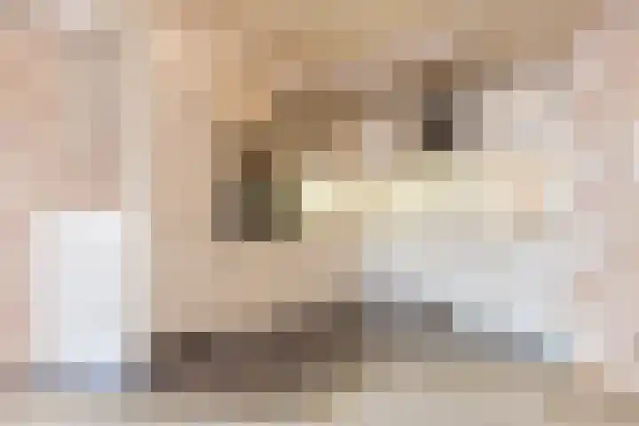 Raadhuisplein 13 Dinteloord thumbnail 5