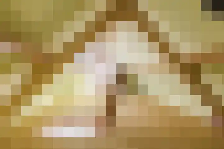 Raadhuisplein 13 Dinteloord thumbnail 8