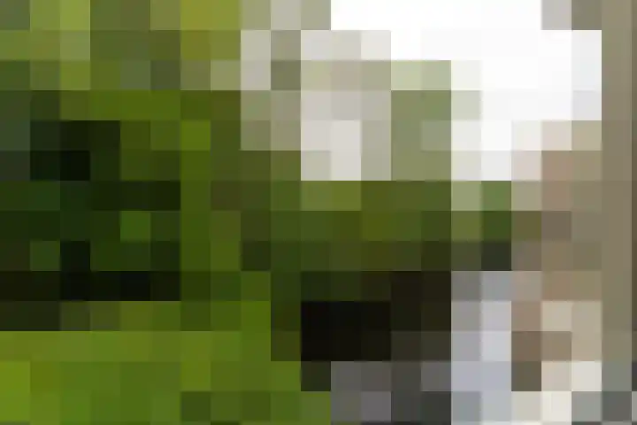 Raadhuisplein 14 Asperen thumbnail 10
