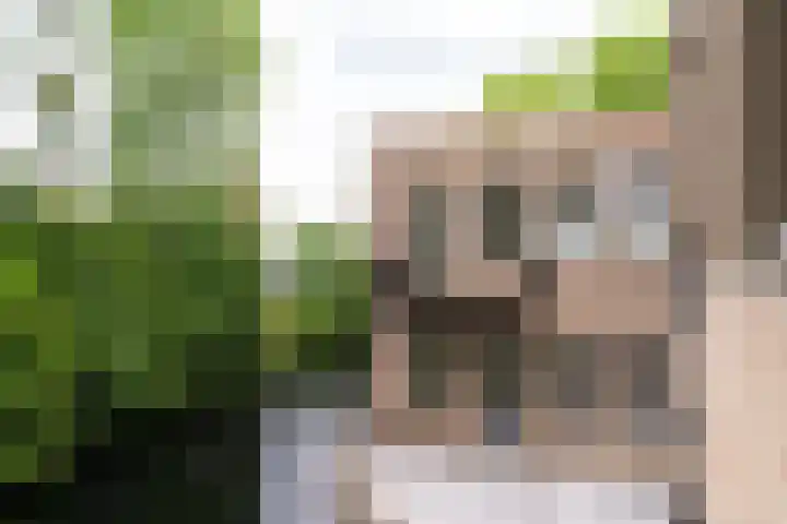 Raadhuisplein 14 Asperen thumbnail 11