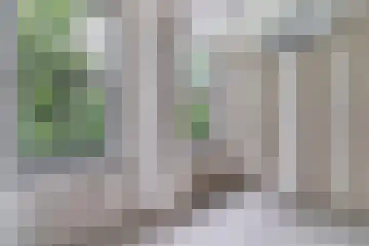 Raadhuisplein 14 Asperen thumbnail 13
