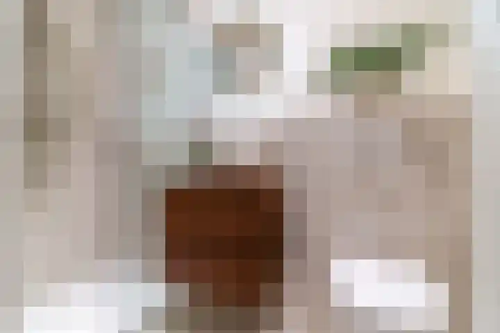 Raadhuisplein 14 Asperen thumbnail 16