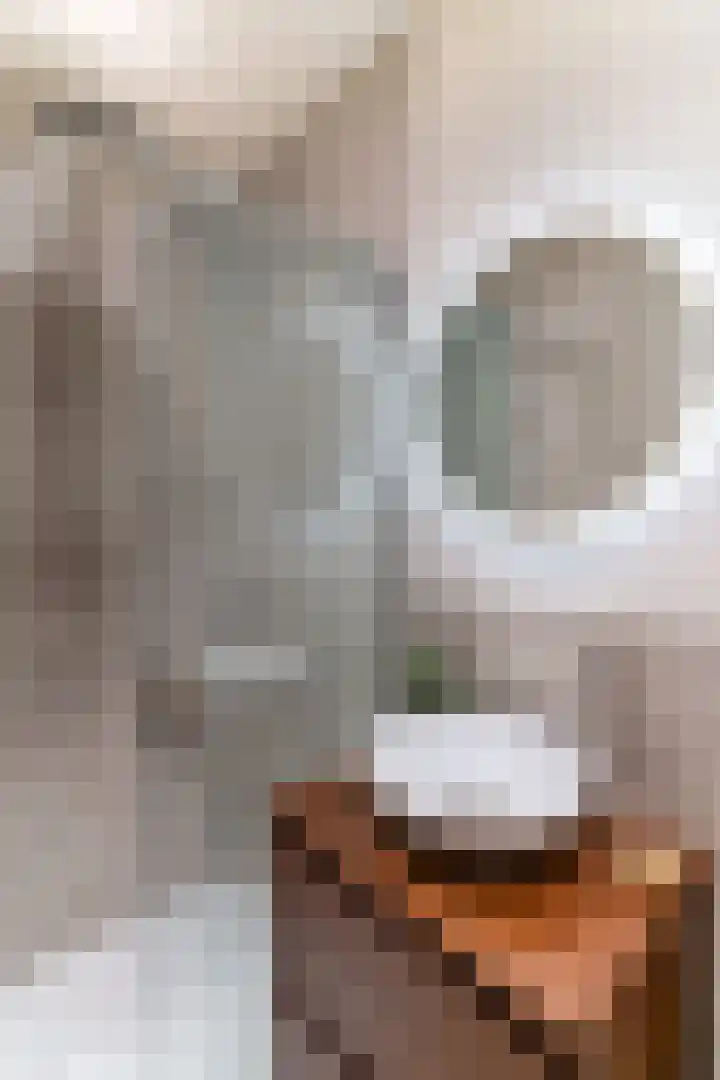 Raadhuisplein 14 Asperen thumbnail 18