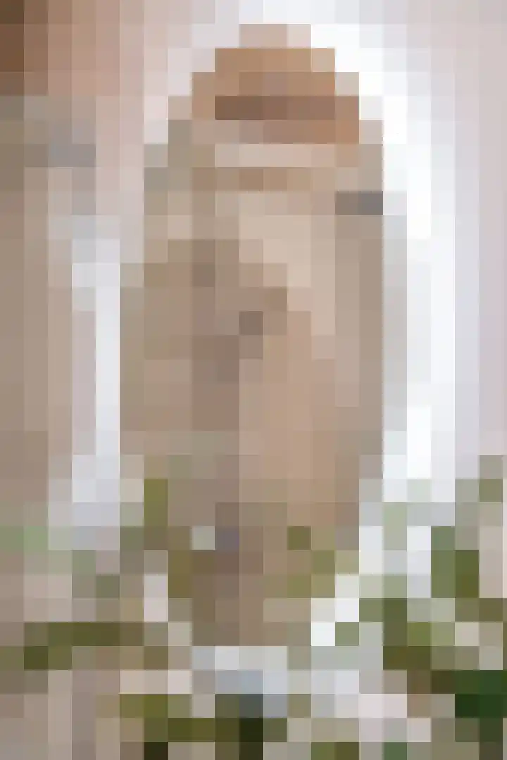 Raadhuisplein 14 Asperen thumbnail 20