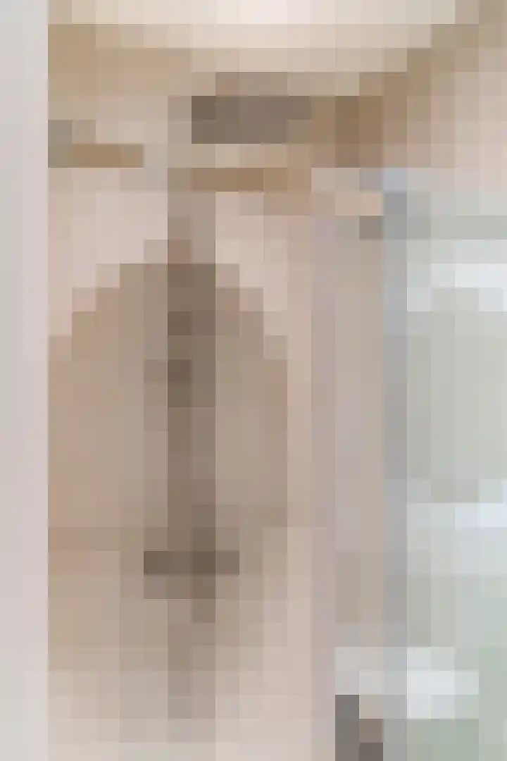 Raadhuisplein 14 Asperen thumbnail 21