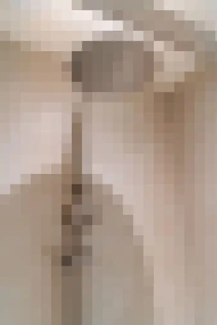 Raadhuisplein 14 Asperen thumbnail 22