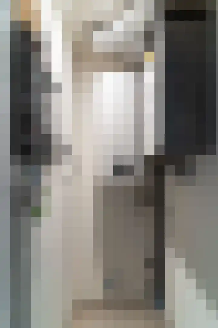 Raadhuisplein 14 Asperen thumbnail 23