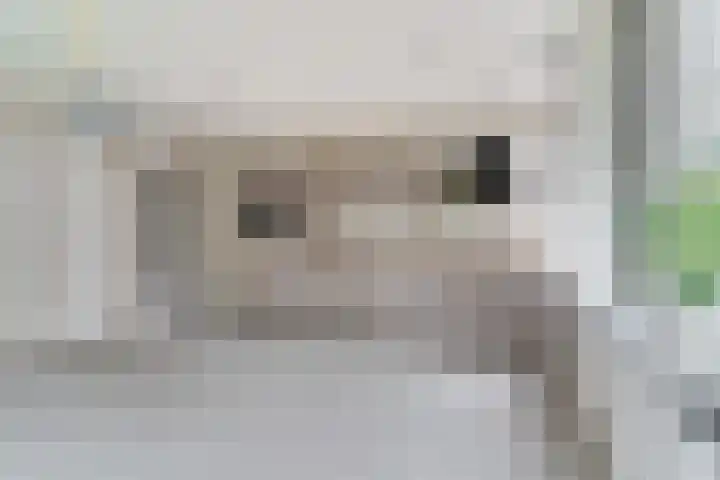 Raadhuisplein 14 Asperen thumbnail 4