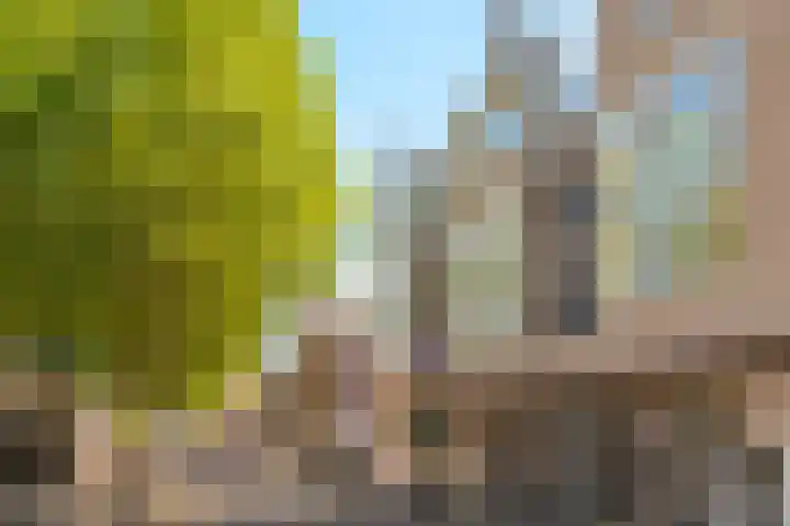 Raadhuisplein 15 33 Zevenaar thumbnail 35