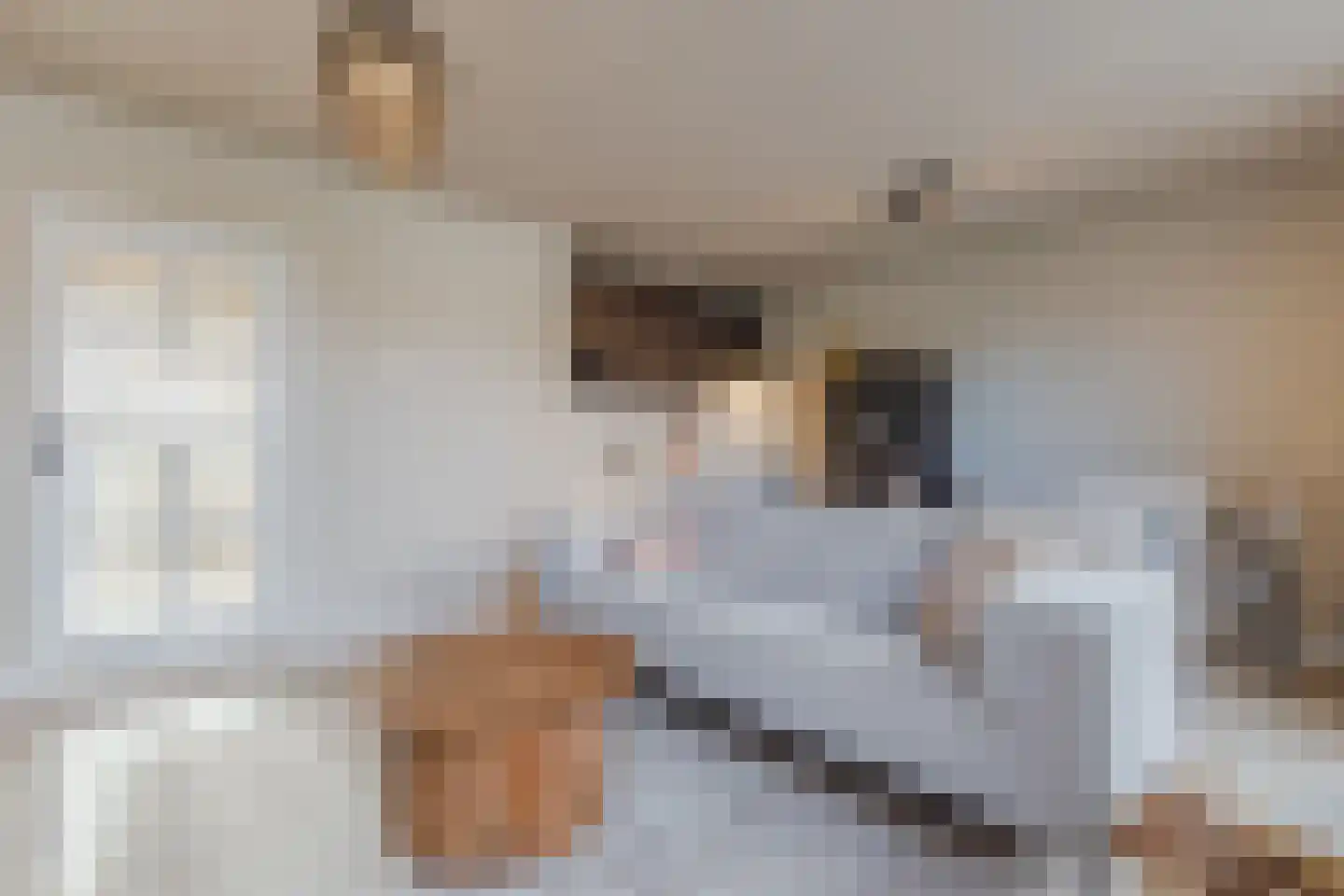 Raadhuisplein 15 Haps thumbnail 10