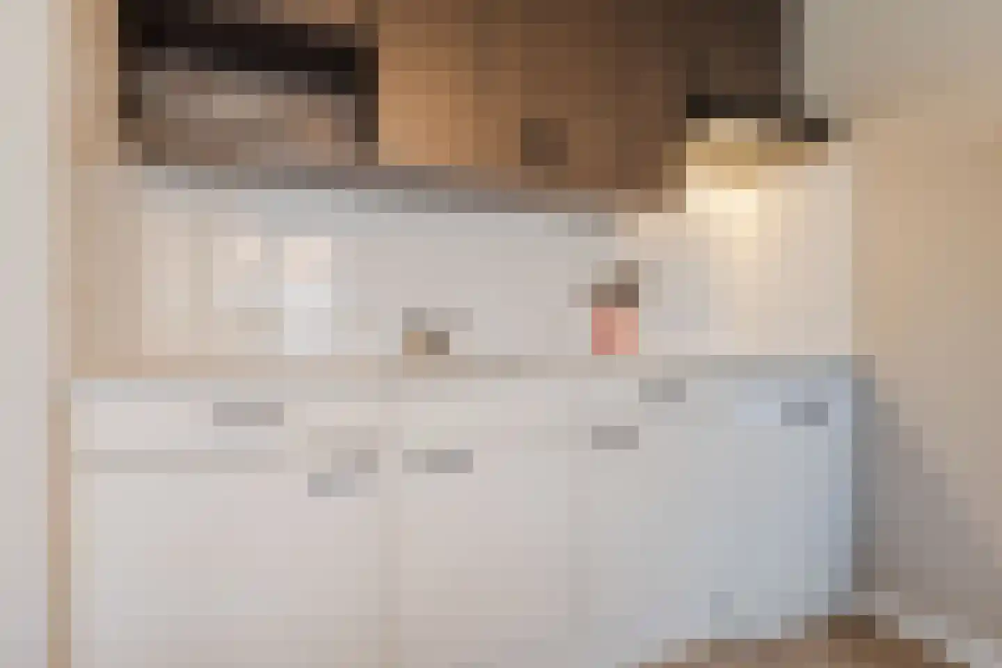 Raadhuisplein 15 Haps thumbnail 13