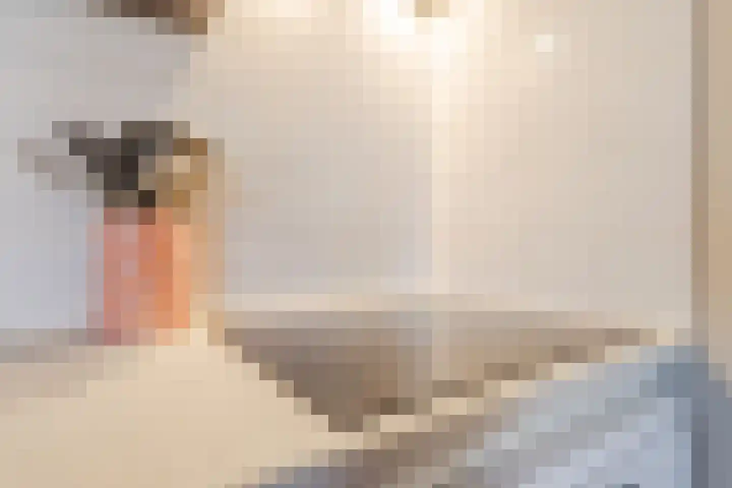 Raadhuisplein 15 Haps thumbnail 14