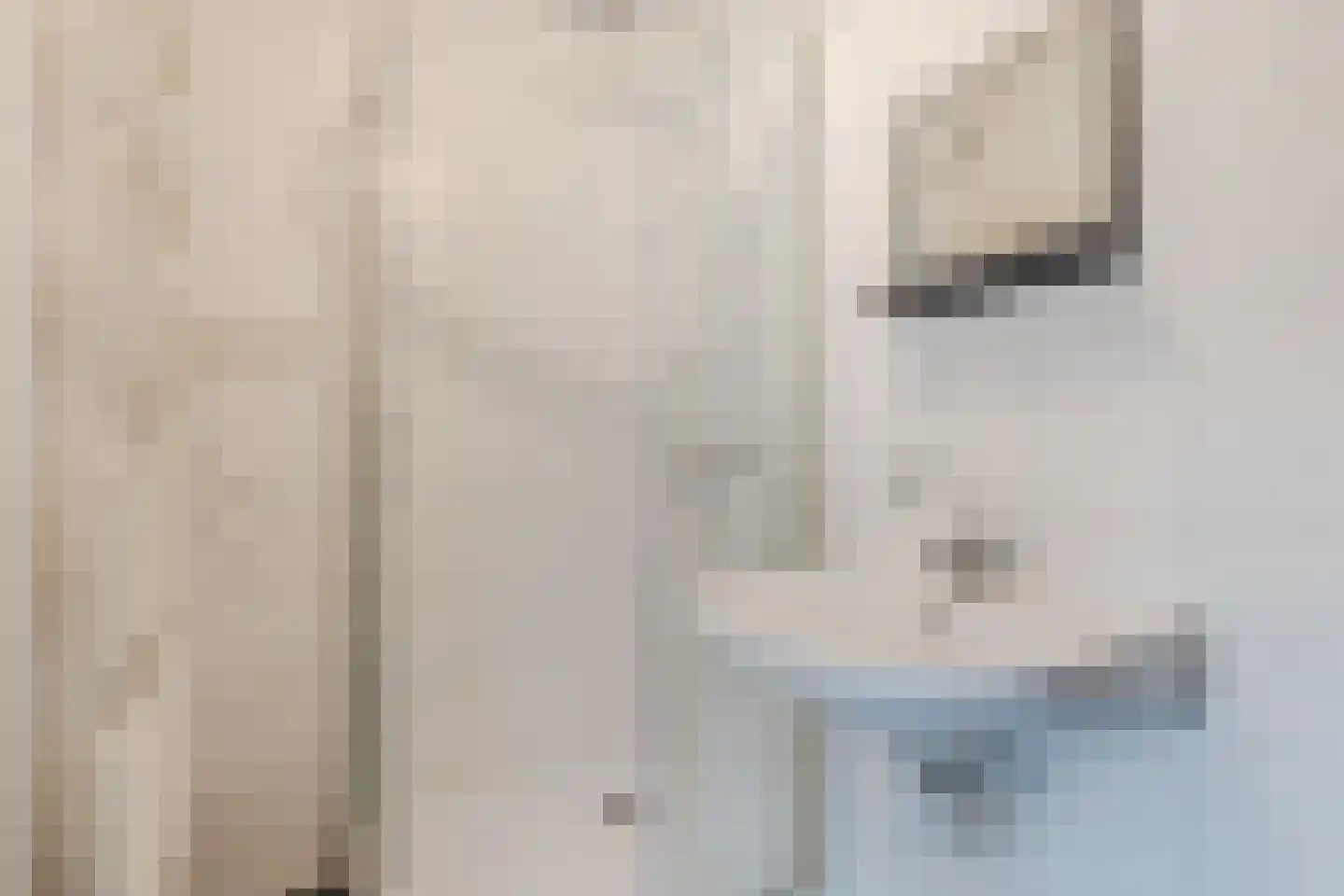 Raadhuisplein 15 Haps thumbnail 17
